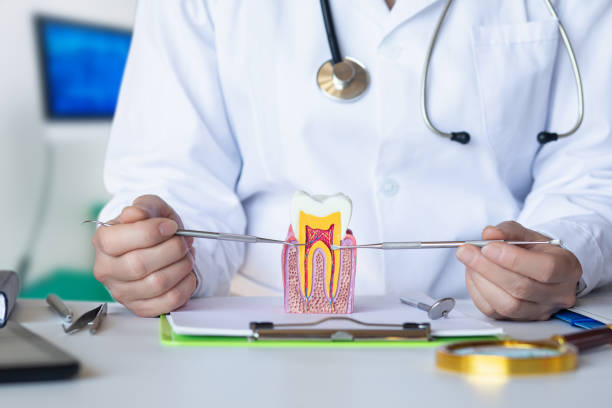 Best Emergency Dental Care for Abscessed Tooth in Henning, TN